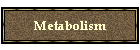 Metabolism