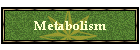 Metabolism