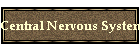 Central Nervous System