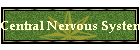 Central Nervous System