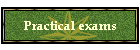 Practical exams