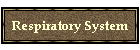 Respiratory System