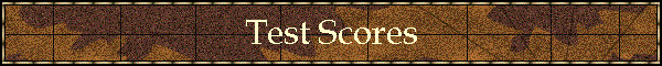 Test Scores