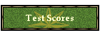 Test Scores