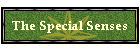 The Special Senses