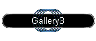 Gallery3