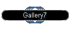 Gallery7