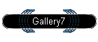 Gallery7