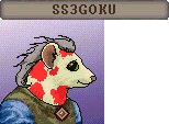 SS3GOKU