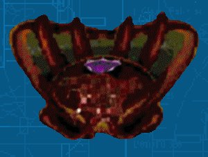 auto3.jpg (16031 bytes)