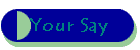 Your Say