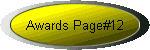 Awards page #12