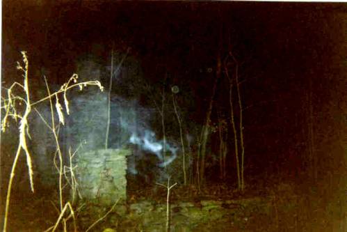 Not sure what this is