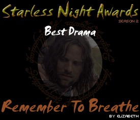 Starless Night Awards - Best Drama