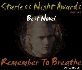 Starless Night Awards - Best Novel