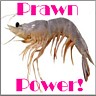 Feel the power of the prawn