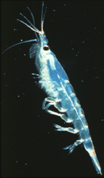 Nothing to see here...