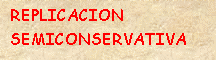 Cuadro de texto: REPLICACION SEMICONSERVATIVA