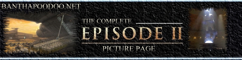 The Force Lives Here