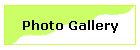 Photo Gallery