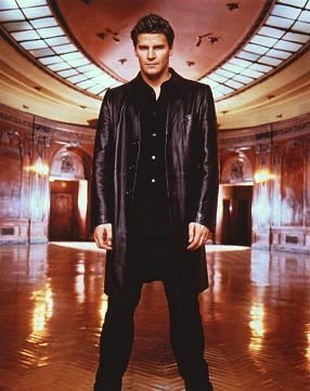 David Boreanaz as Angel