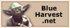 blueharvest.net