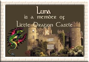 The Little Dragon Castle