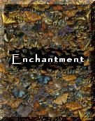 Enchantment banner