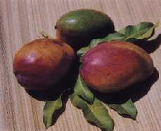 Too bad I'm allergic  ):