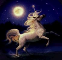 Don't forget to visit the Secret Land of the Unicorns