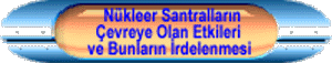 Nkleer Santrallarn evreye Olan Etkileri ve Bunlarn rdelenmesi