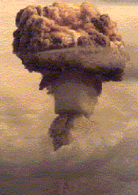 nc3.gif (24699 bytes)