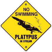 no swimming, platypus in stream   | image