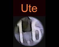 Ute