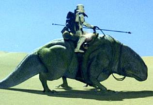 Dewback