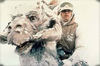 Tauntaun