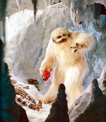 Wampa