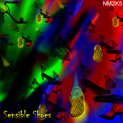 Sensible shoes - CD case cover