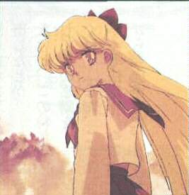 Mina's life changed drastically when she became a Sailor Soldier