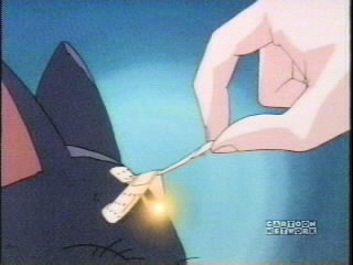 Serena found Luna, one of the guardian cats in an alley way.