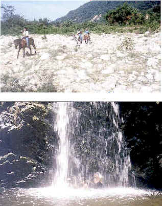 wpe41.jpg (23406 bytes)