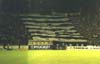 Partizan-Lacio 1998