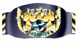 American Champion