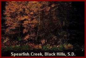 Spearfish,S.D.