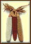 Three Corns