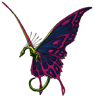 Dragon Butterfly
