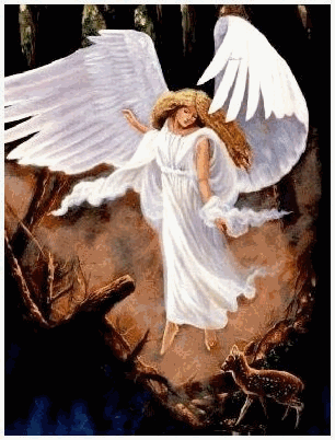 Angel_Tears' Memory Lane