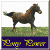 Pony Power
