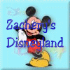 Zachary's DisneyLand