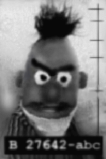 Bert is Evil!